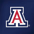 University of Arizona Primary Mark Dell Inspiron Skin